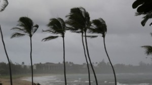 Tips on Protecting Your Property From Hurricane Damage